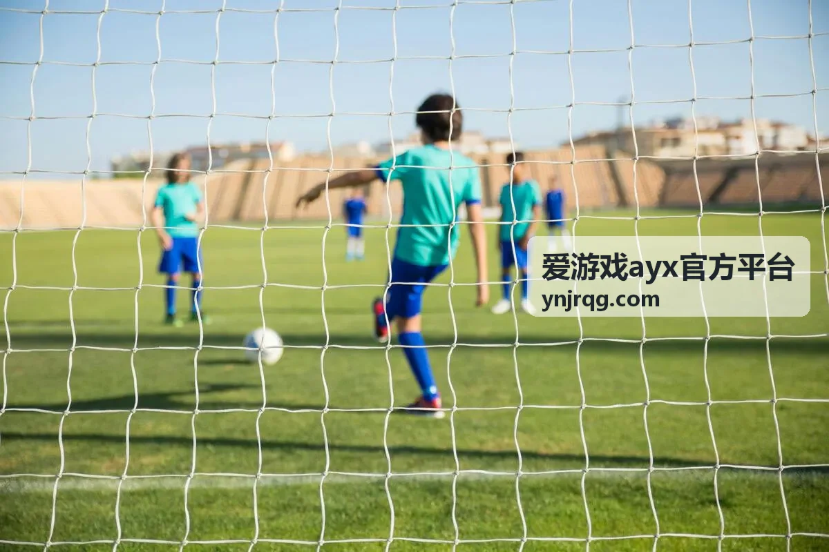 爱游戏ayx官方平台 官方入口位置演示片段