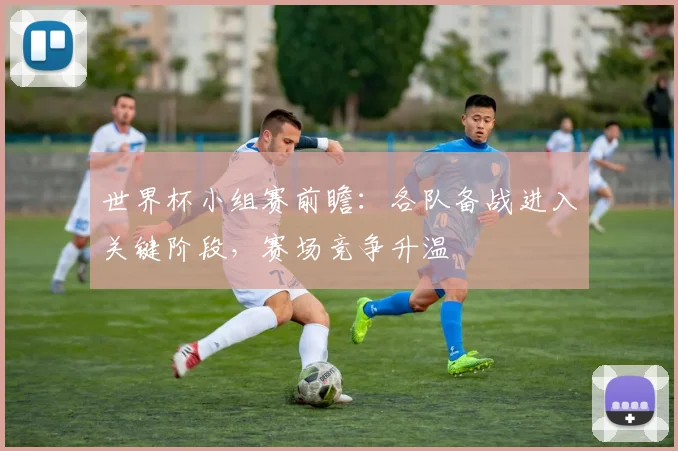 世界杯小组赛前瞻:各队备战进入关键阶段,赛场竞争升温