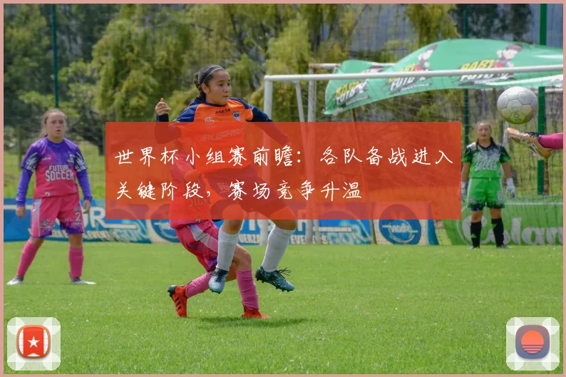 世界杯小组赛前瞻:各队备战进入关键阶段,赛场竞争升温